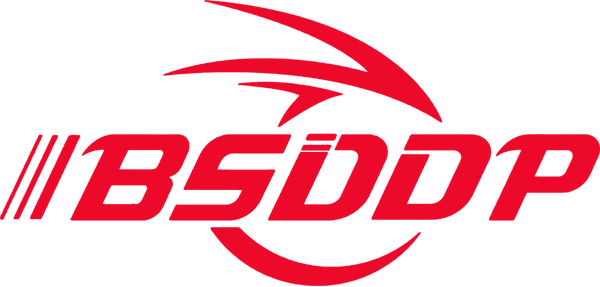 BSDDP