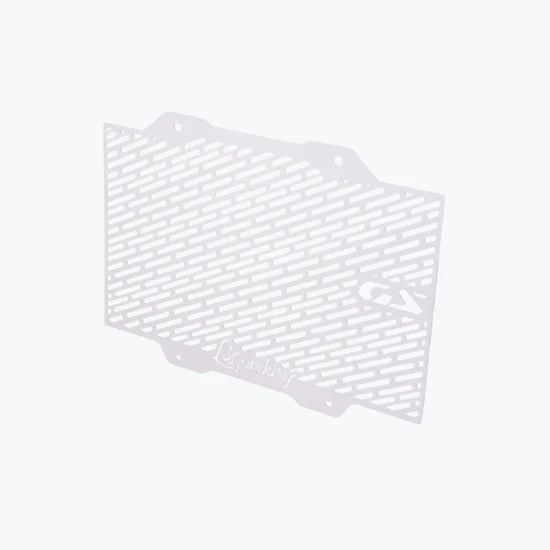 BMW F450 GS VECTOR RADIATOR GRILL SILVER | LEGUNDARY CUSTOMS