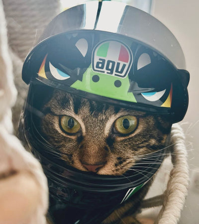 AGV "Turtle" Valentino Rossi Edition Scale model miniature helmet - BLACK