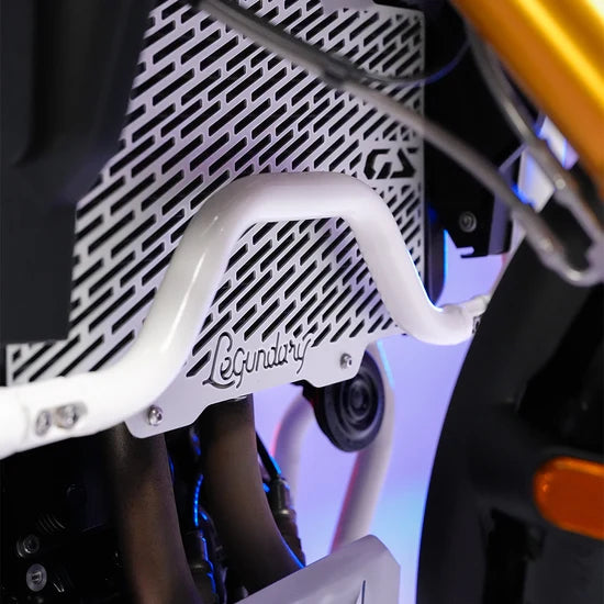 BMW F450 GS VECTOR RADIATOR GRILL SILVER | LEGUNDARY CUSTOMS